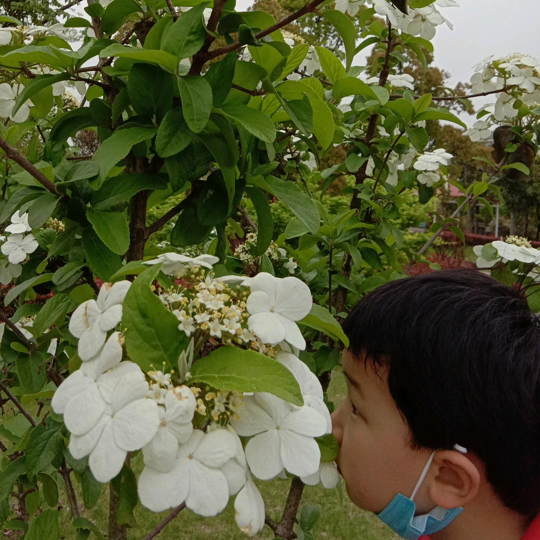 我还是从前那个少年