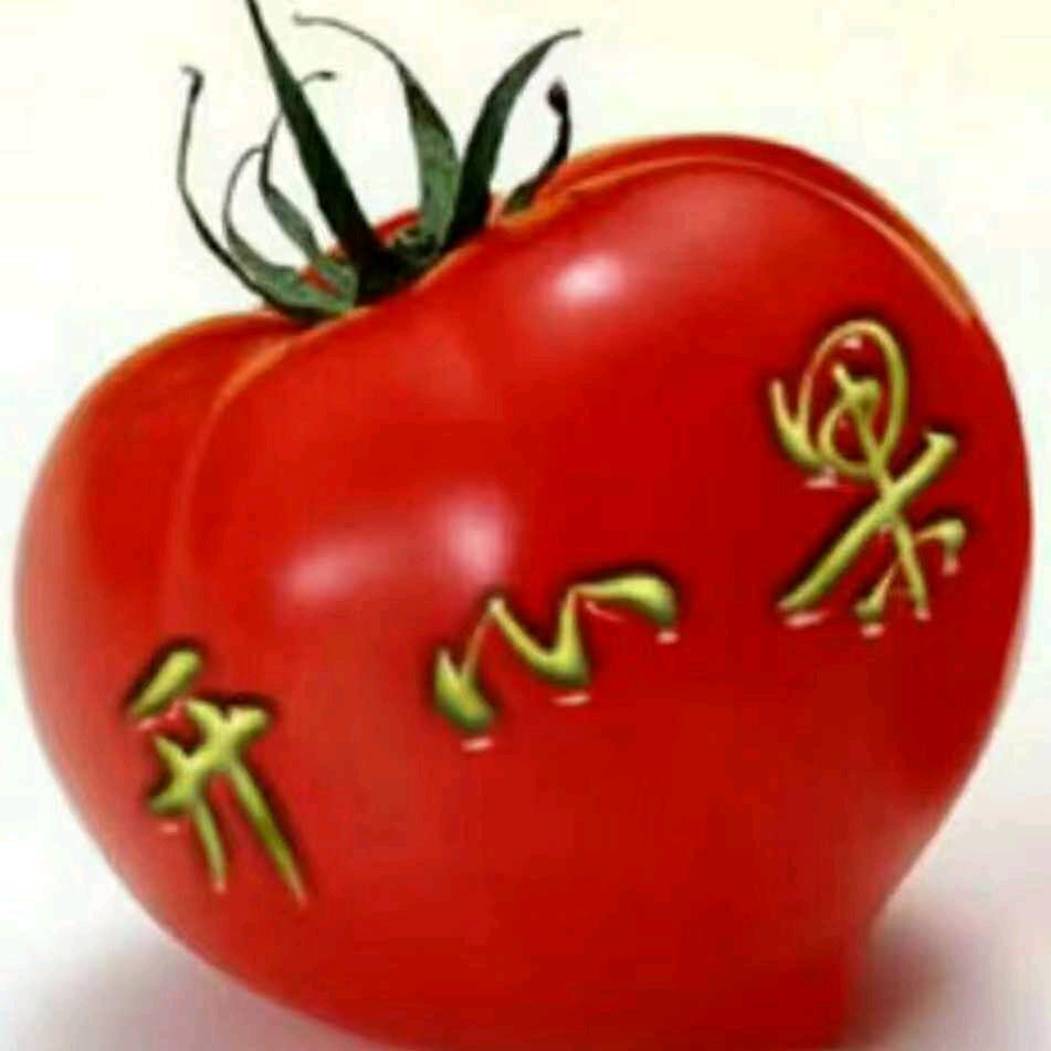 开心果