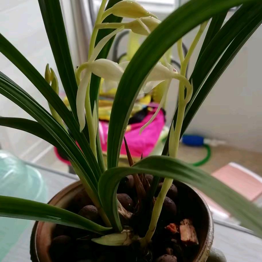 志兵家庭信息服务中心