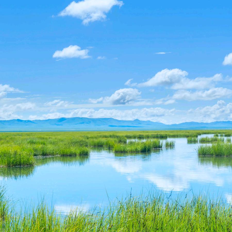 用户8942478983721雨后彩红