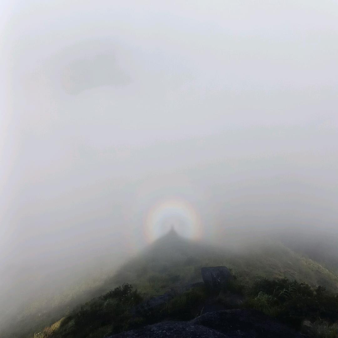 新愿景
