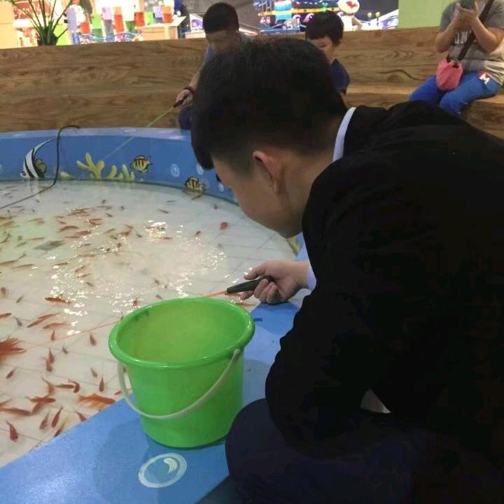 盖盖