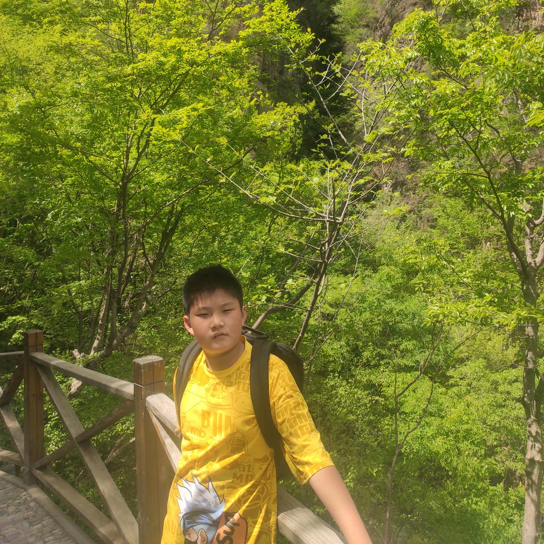 王建崇