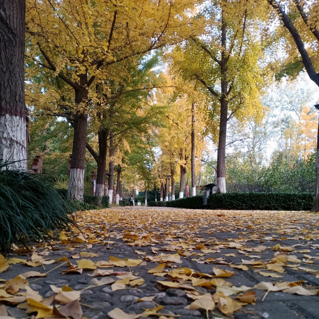 ¥¥习¥¥惯¥¥生¥¥活¥¥