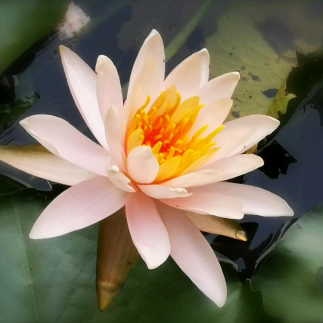 诗意MaY（佢绝私聊）