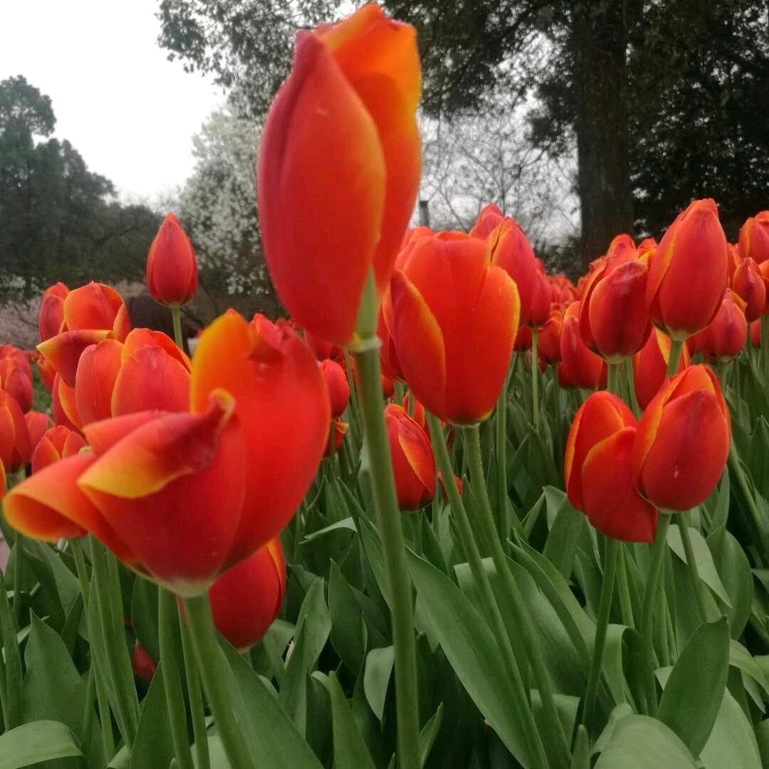 梅开岩笑（谢绝私聊）