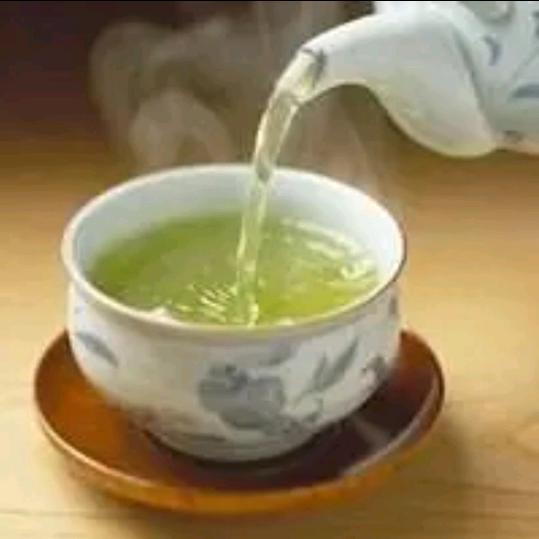 茶道人生