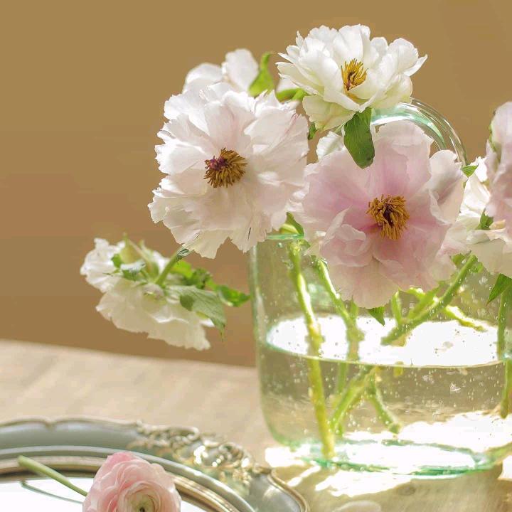 💕꧔ꦿ*꯭͡꧔ꦿ᭄林🕊ꦿ