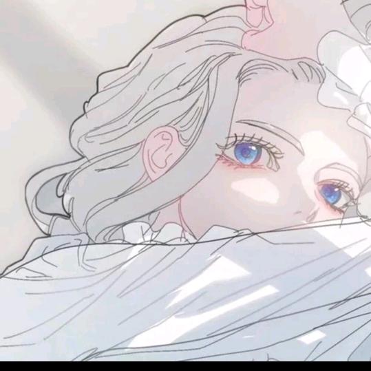 迷途猫