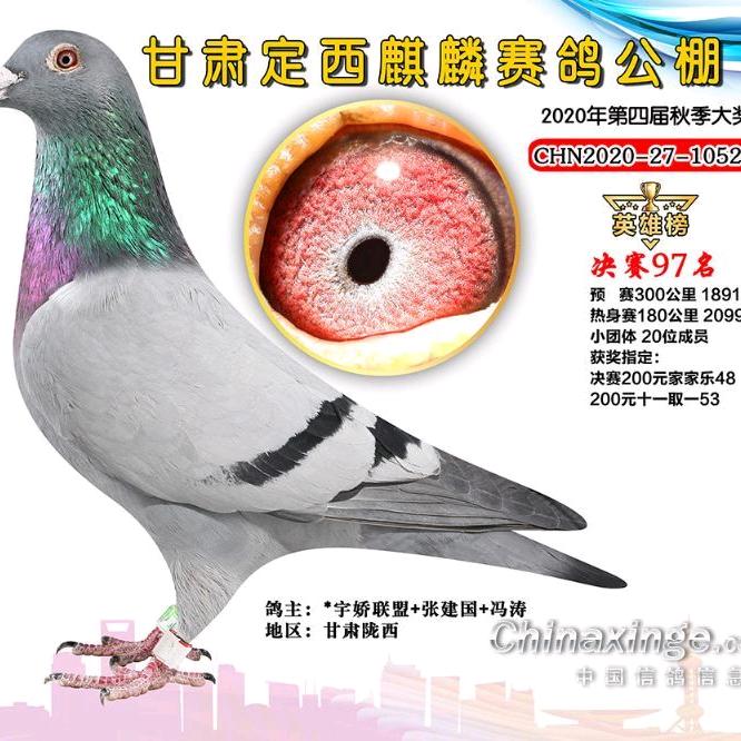 甲天下鸽舍888