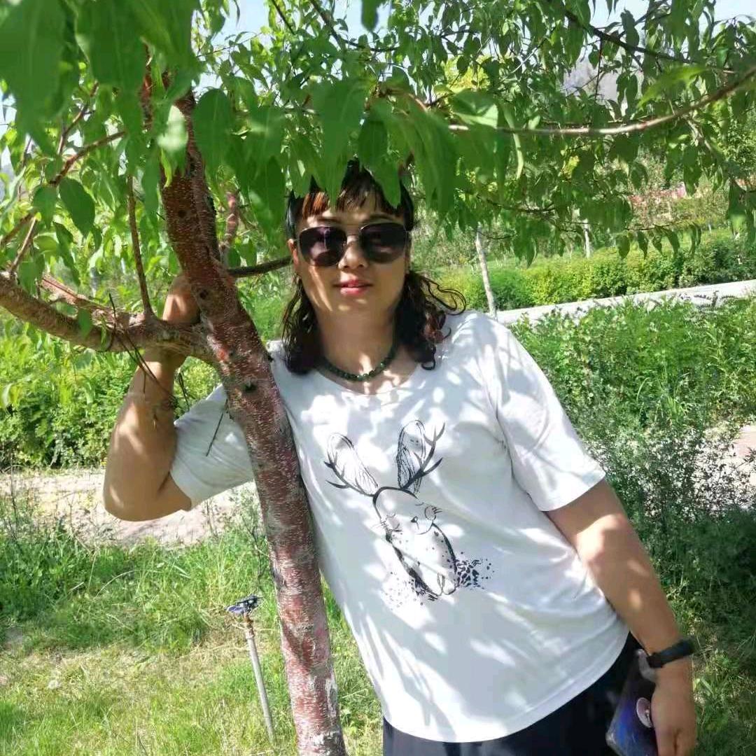但愿人长久