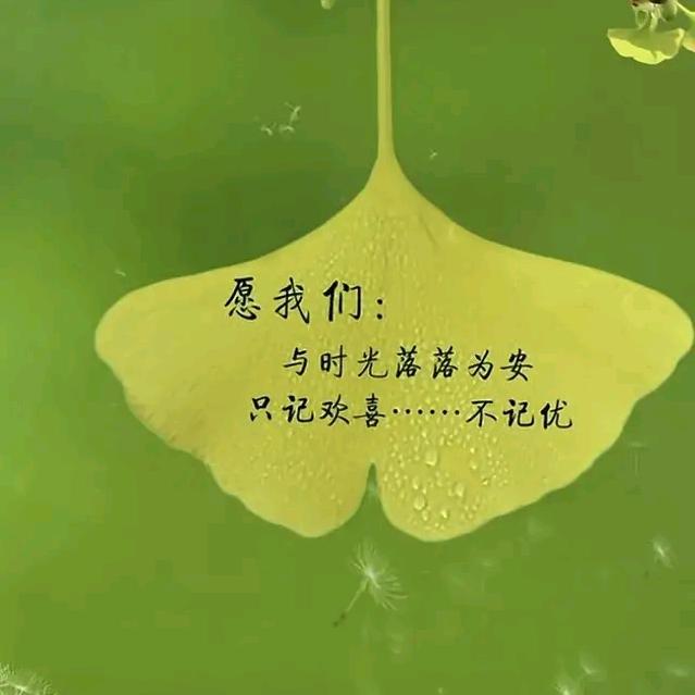 你不勇敢，谁替你坚强
