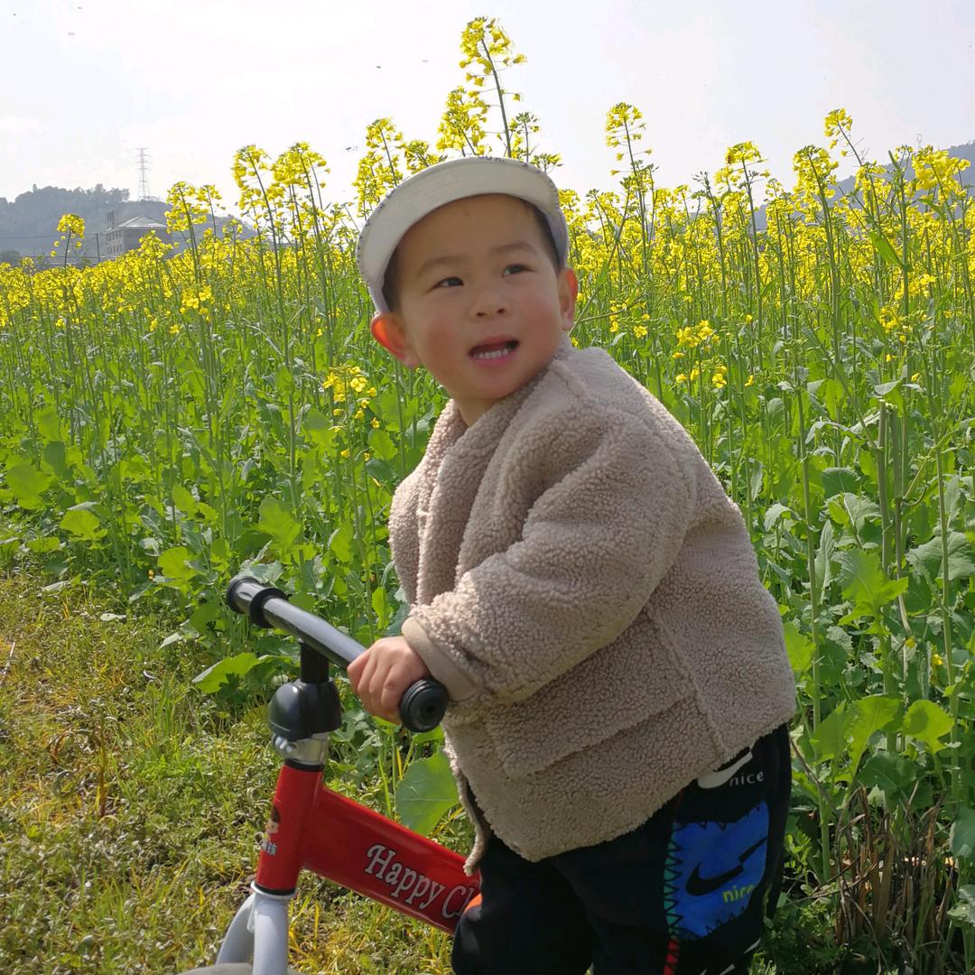 杨