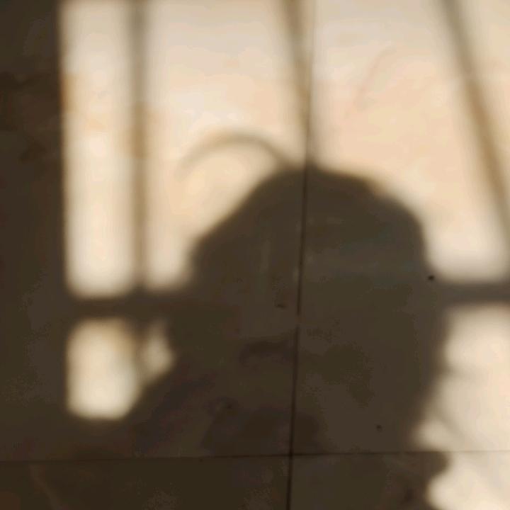 不想写物理卷