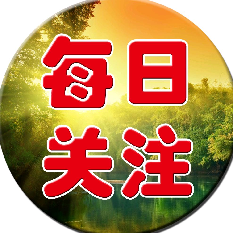 每日•关注