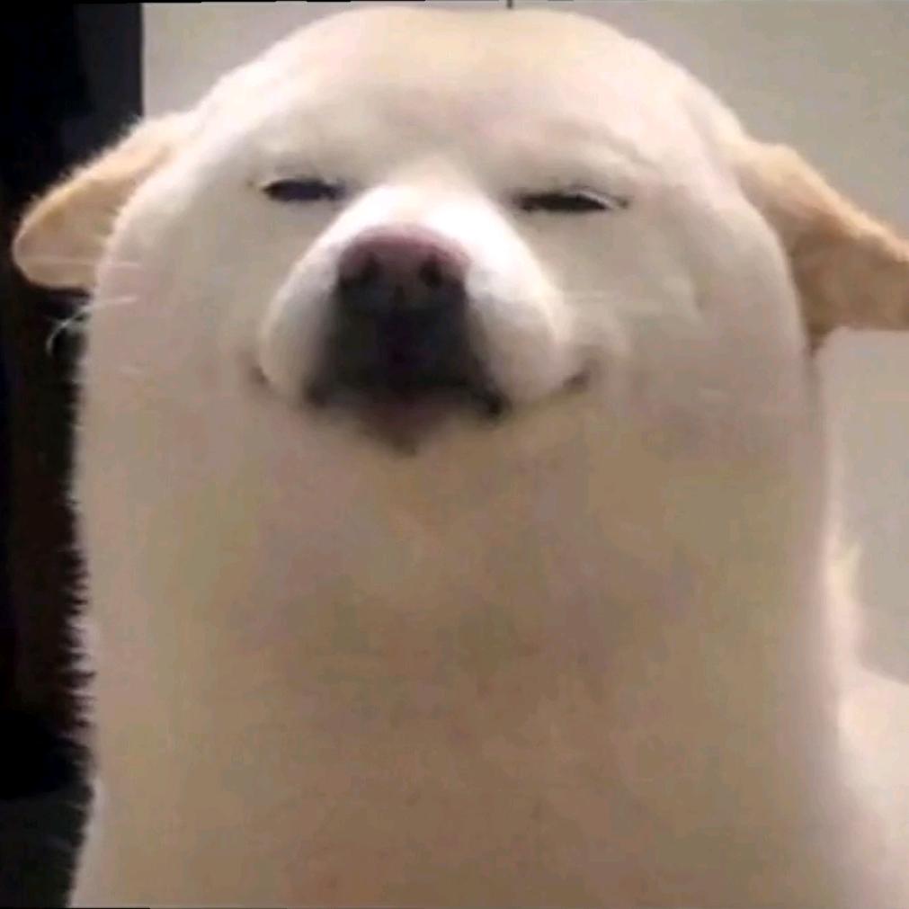 不悔雁