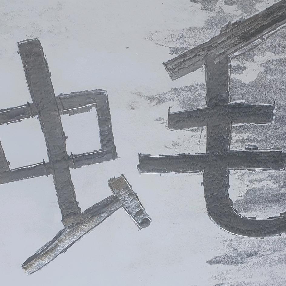 盈江虫毛