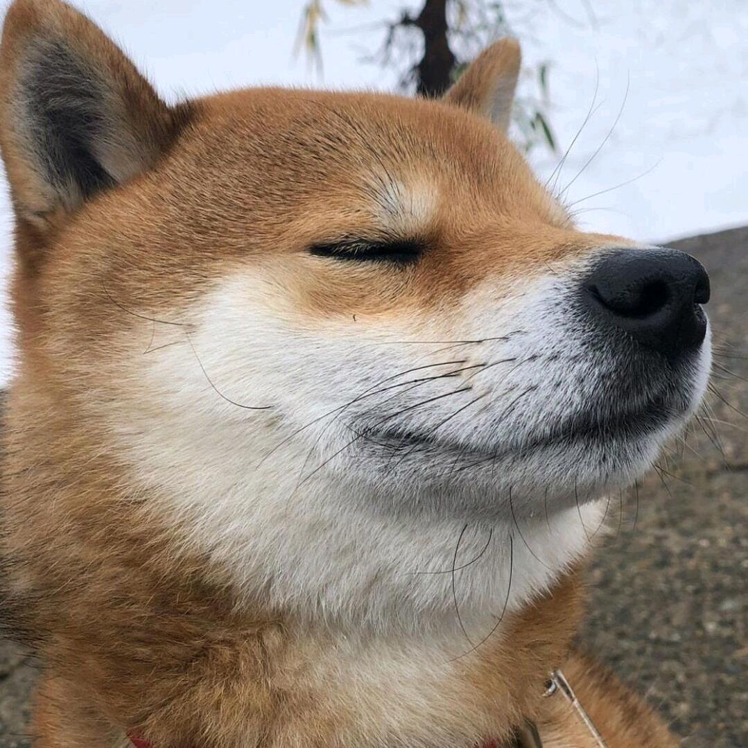 嘉靖