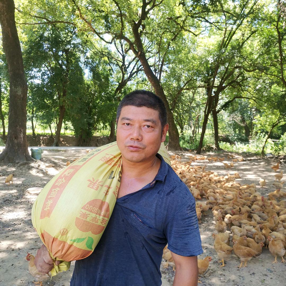 泰和县栖龙老阙