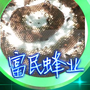 广西新富民蜂业伍哥