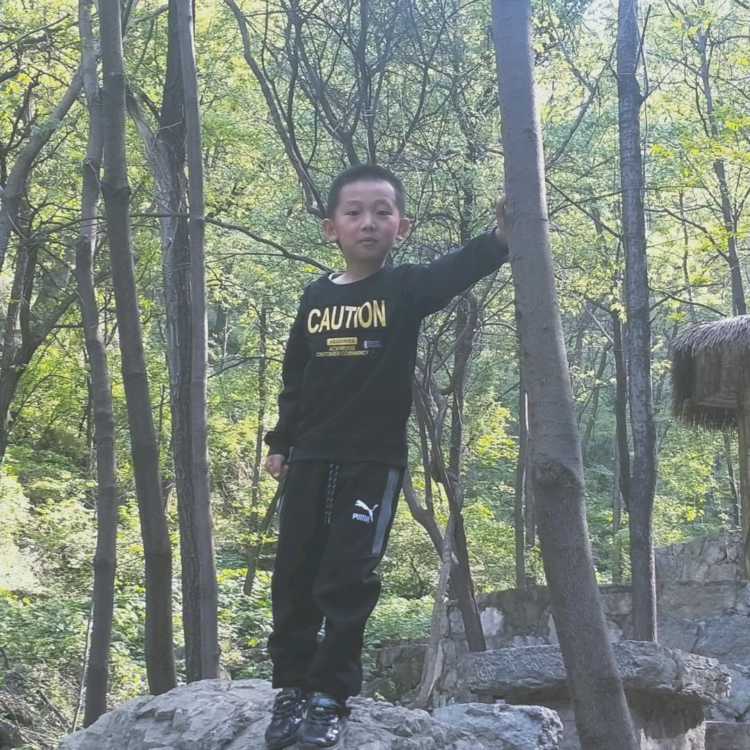 柳絮散落
