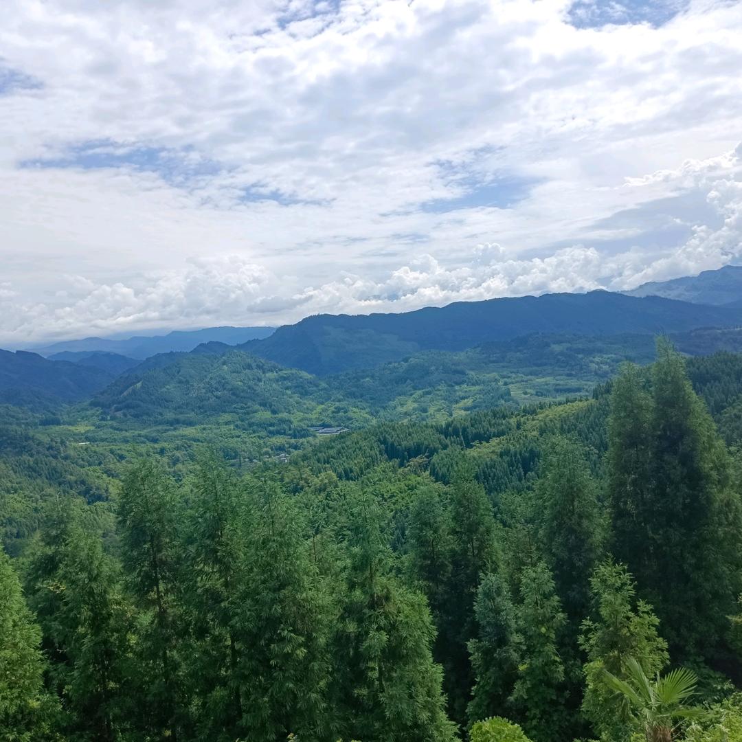 用户5490846803407平安