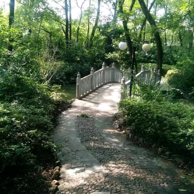 定明