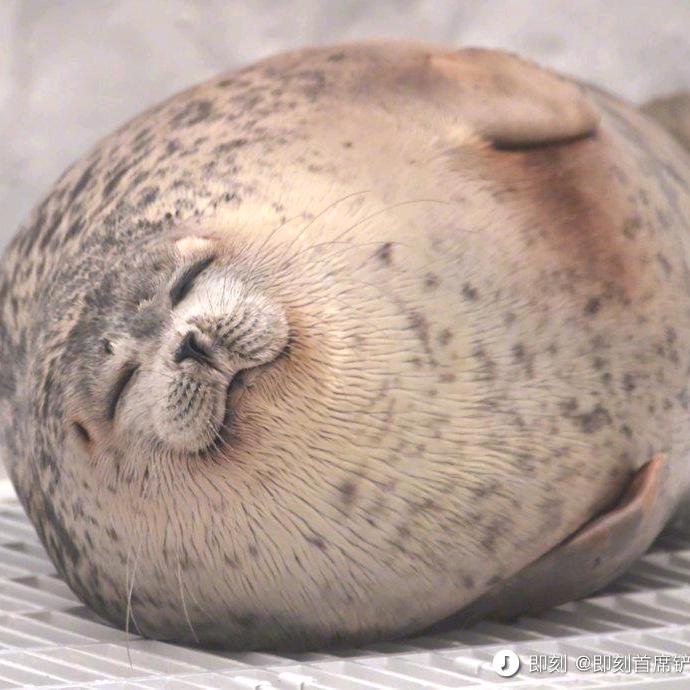 ╰弱虫