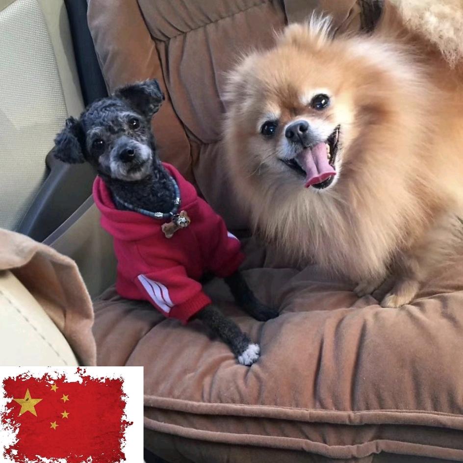 ～☞市井☆说书人☜～