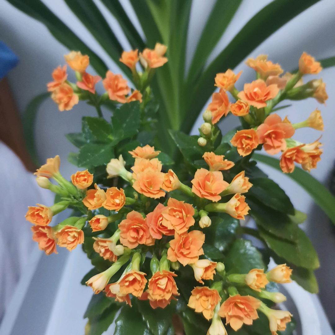心向未来