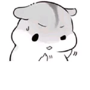 DAHONGCHAO