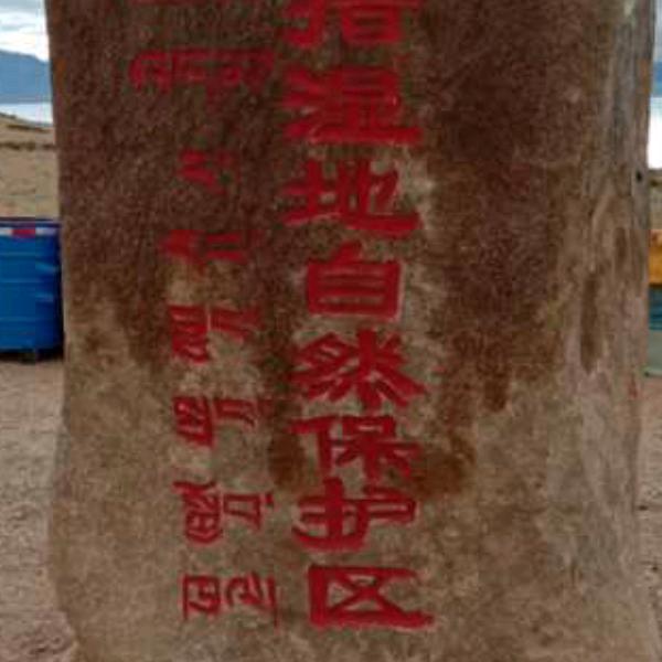 命运的安排。