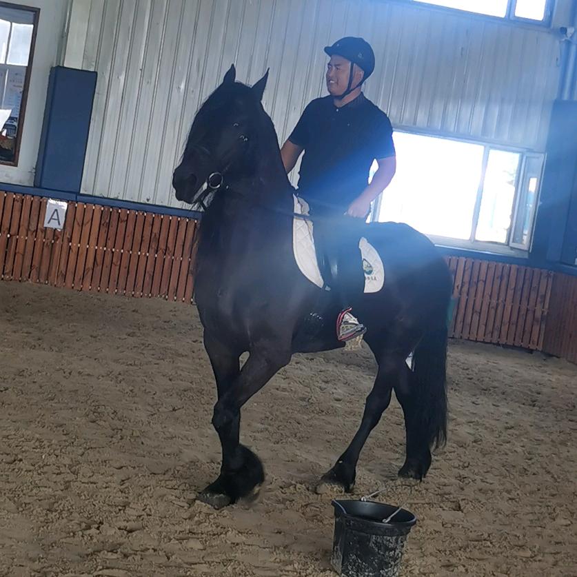 徐景辉（兴源种猪）