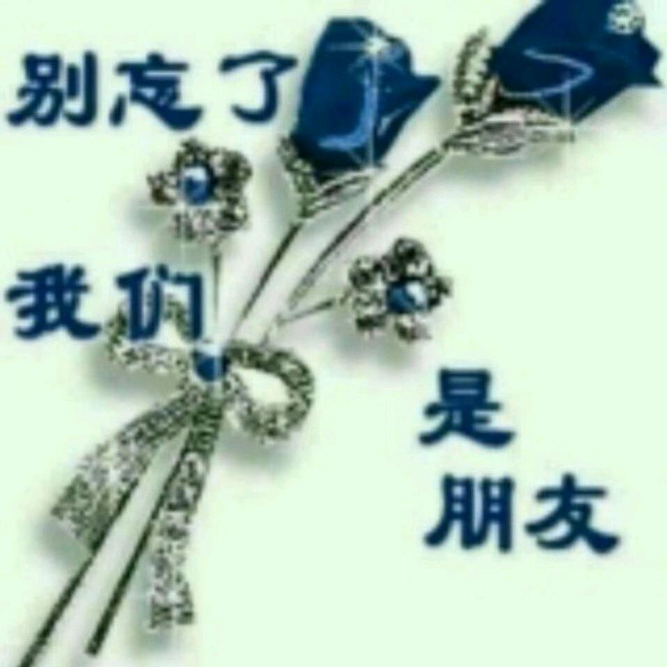 四新