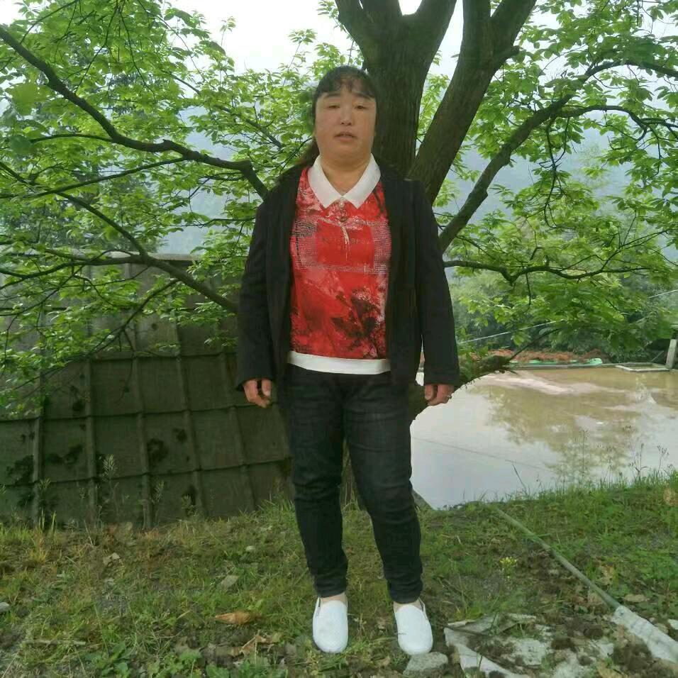 阖家欢乐杨妹