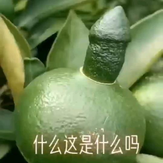 中国韶关