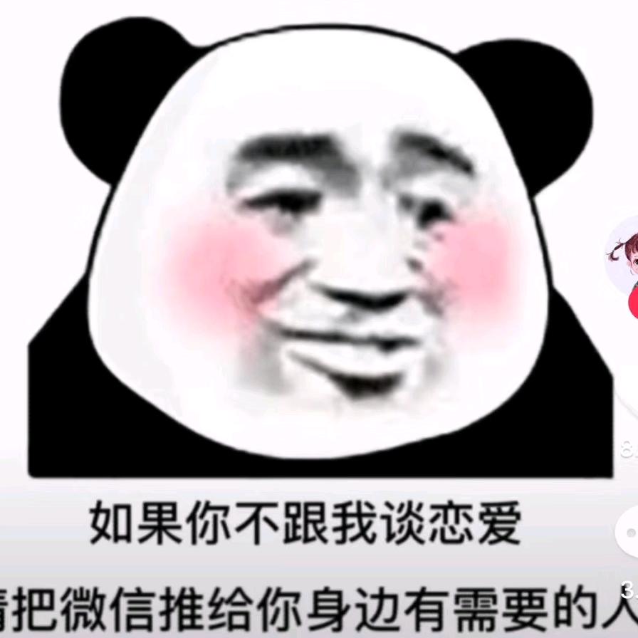 主打车辆一切业务