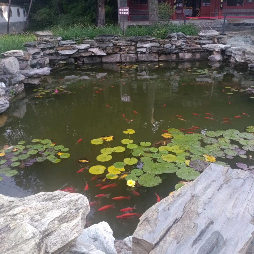 碧水蓝天