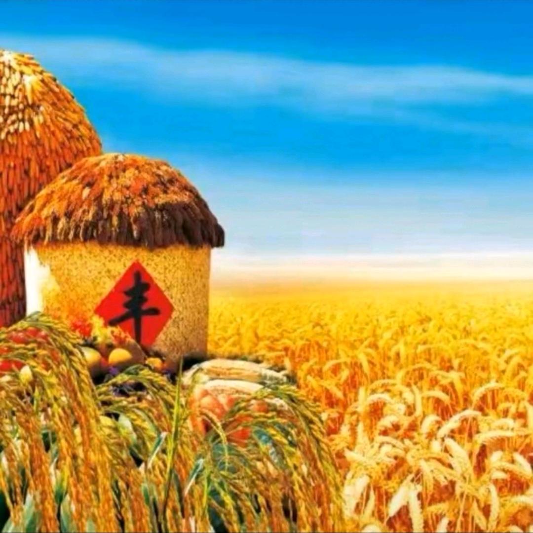 🐯厚德载福🐯