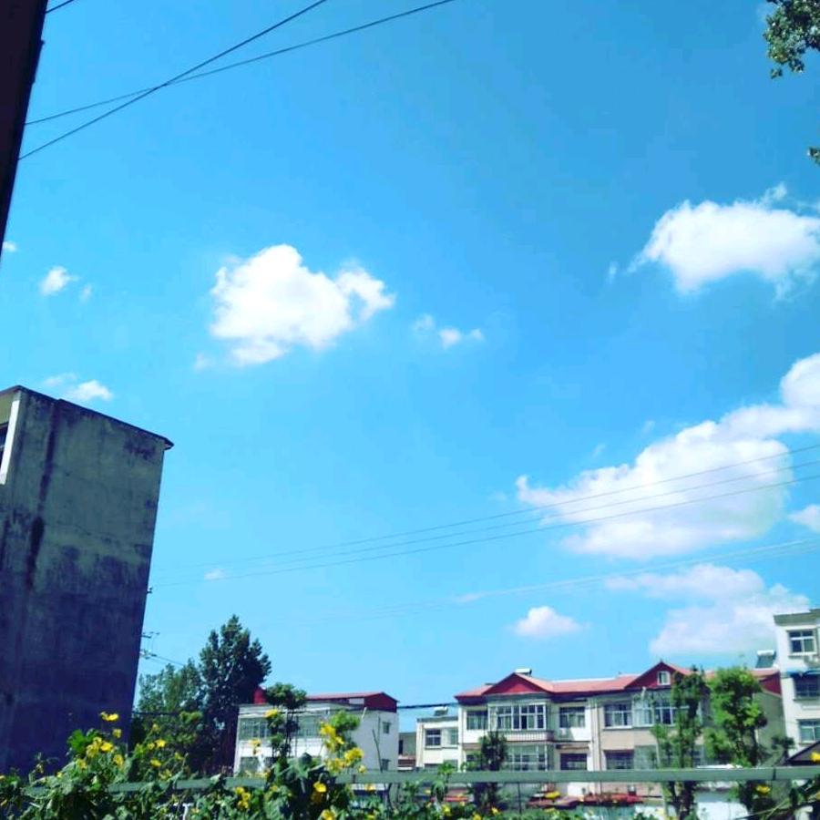 不枉相思到白头