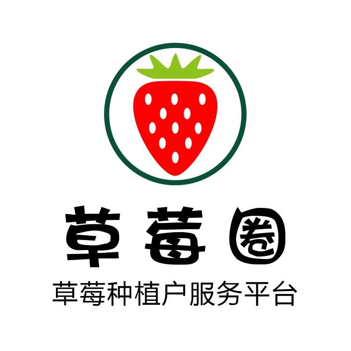 草莓圈技术服务