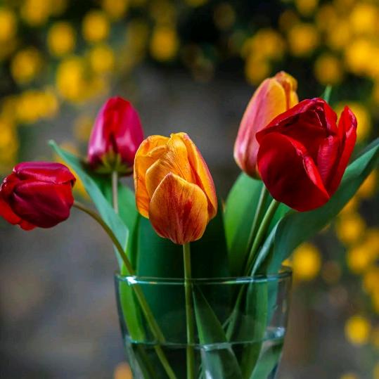 海阔天空(•‿•)