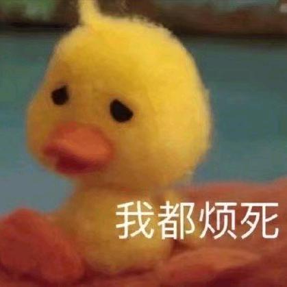 顺其自然