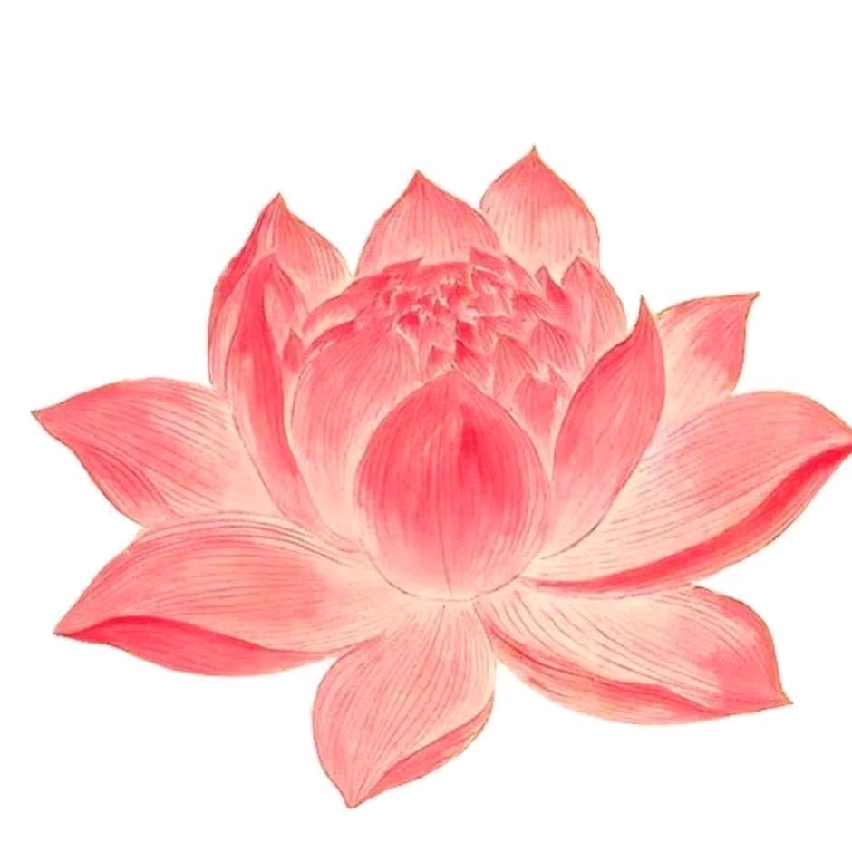 王爺.