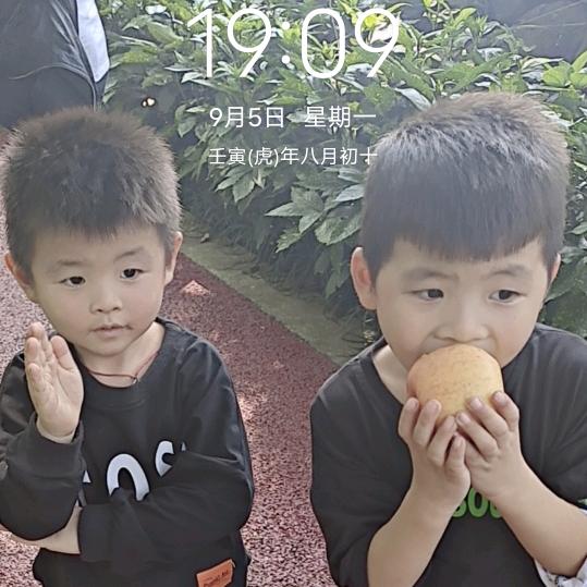 活着只为治愈自己