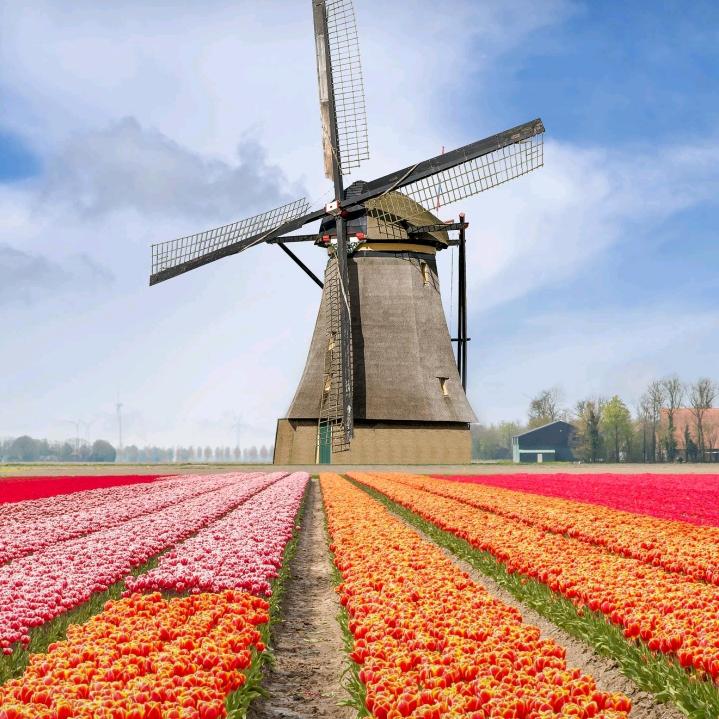 十哥乡村农产品