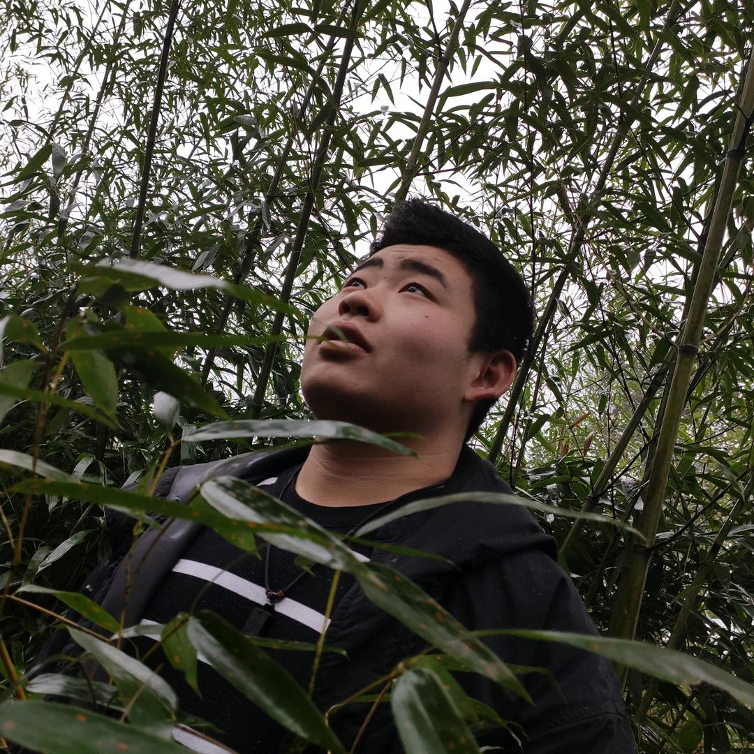 猪肉小王子