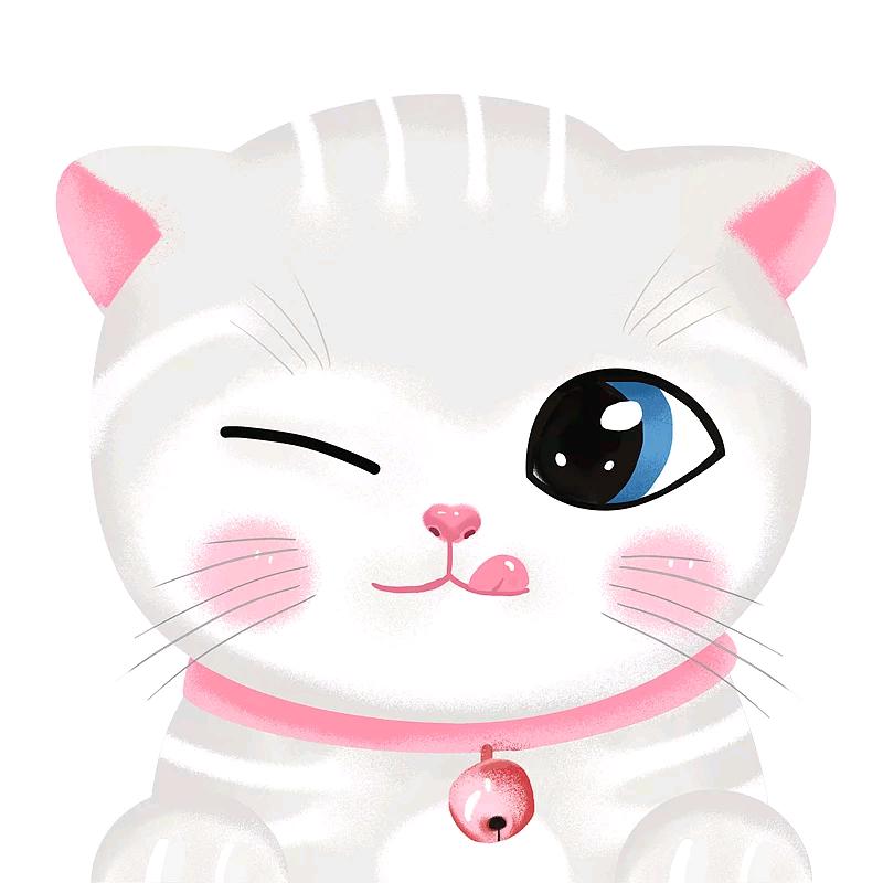 好物分享🐱