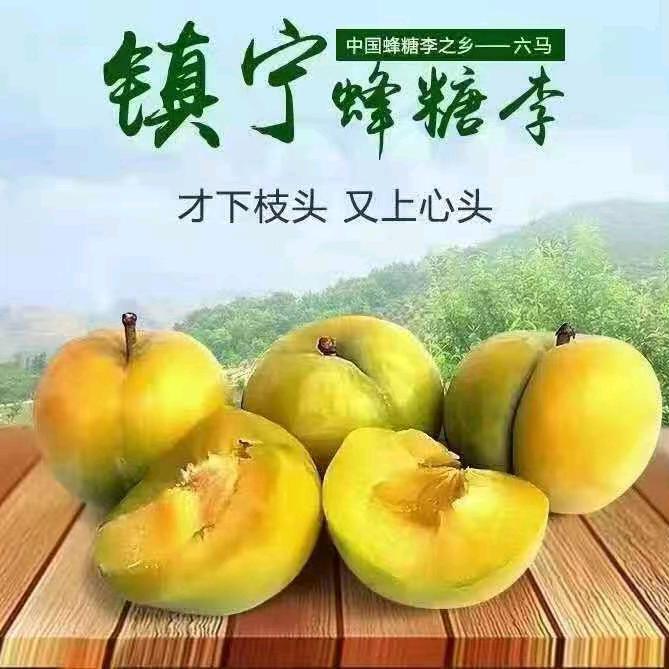 贵G农村水果种植户