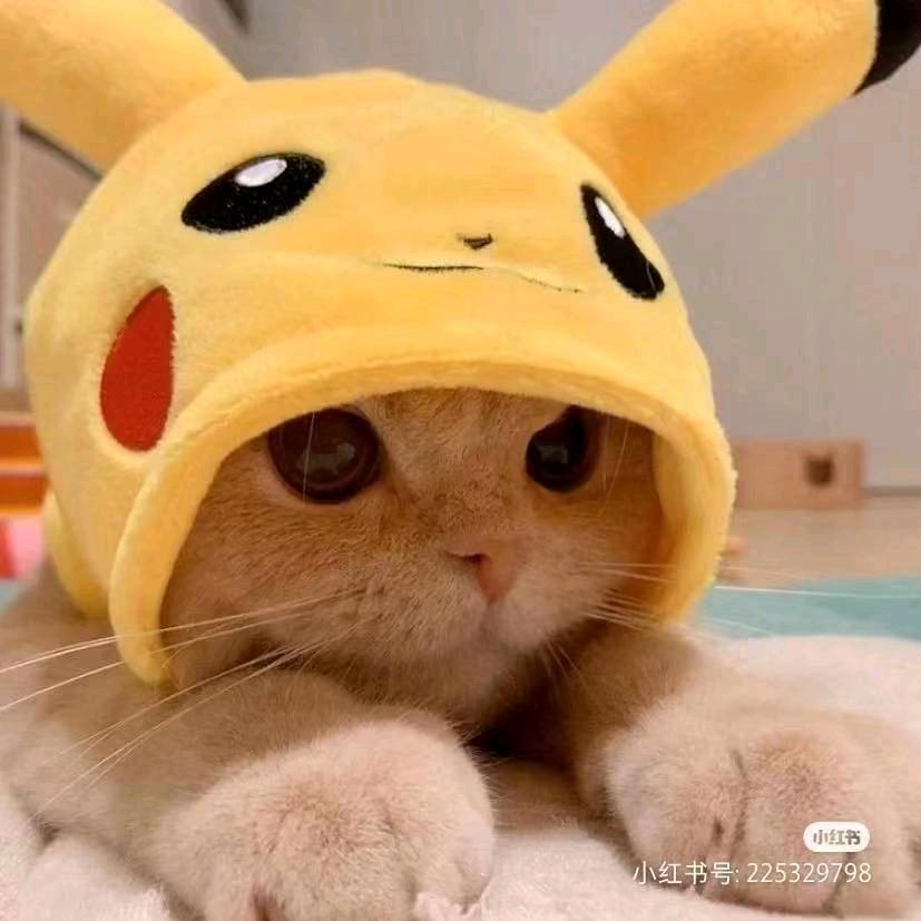 宇众不彤